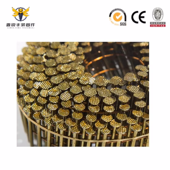 中国工場供給ファスナー フラット/ネット ヘッド電気めっきスパイラル コイル ネイル